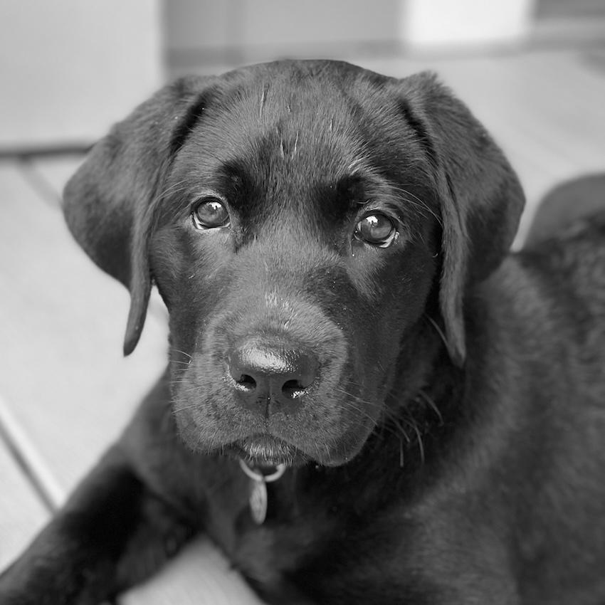 Nyx Headshot 2