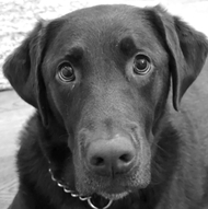 Headshot of Lucy Mae Brown, Emotional Support Manager